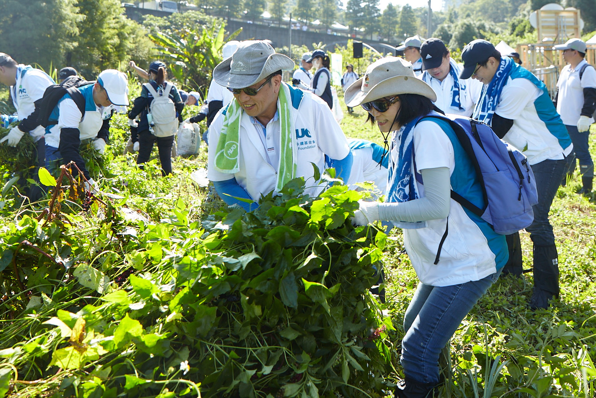 申博太陽城攜手合作伙伴與集團志工啟動移除外來種之行動藍圖，針對申博太陽城龍?zhí)稄S區(qū)、霄里溪沿岸的小花蔓澤蘭定期進行移除與防治作業(yè)