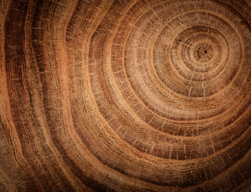 環(huán)境永續(xù)